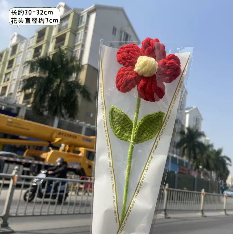 DIY a Small Red Flower Yarn Hand-Knitted Single Bouquet Creative Gift for High School Entrance Exam, Mother's Day, Graduation, Finished Product