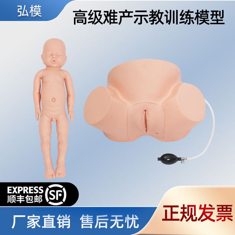 弘模HOM/F4高级难产示教训练模型助产模型接生难产示教模型孕妇分娩模具