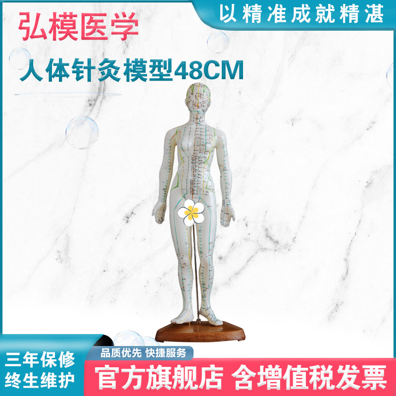 弘模针灸穴位人体模型家用中医用教学人体经络清晰印字穴位模型人男女全身模特 高清白色印字男款HOM/XC504