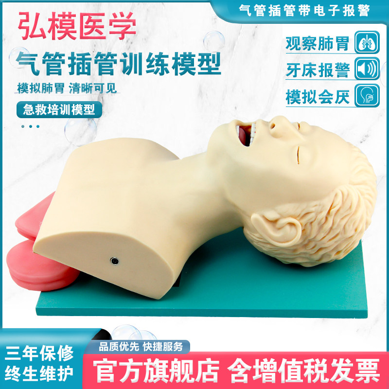 弘模电子人体气管插管模型口鼻报警牙齿受压胃膨胀梗塞急救环甲膜穿刺医学训练操作假人体教学模型