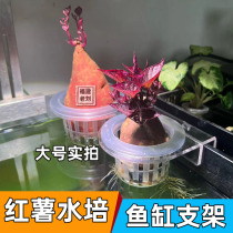 Hydroponic fixed basket fish tank planting basket aquatic plant fixed artifact wall-mounted planting cup fish tank landscaping decoration green radish
