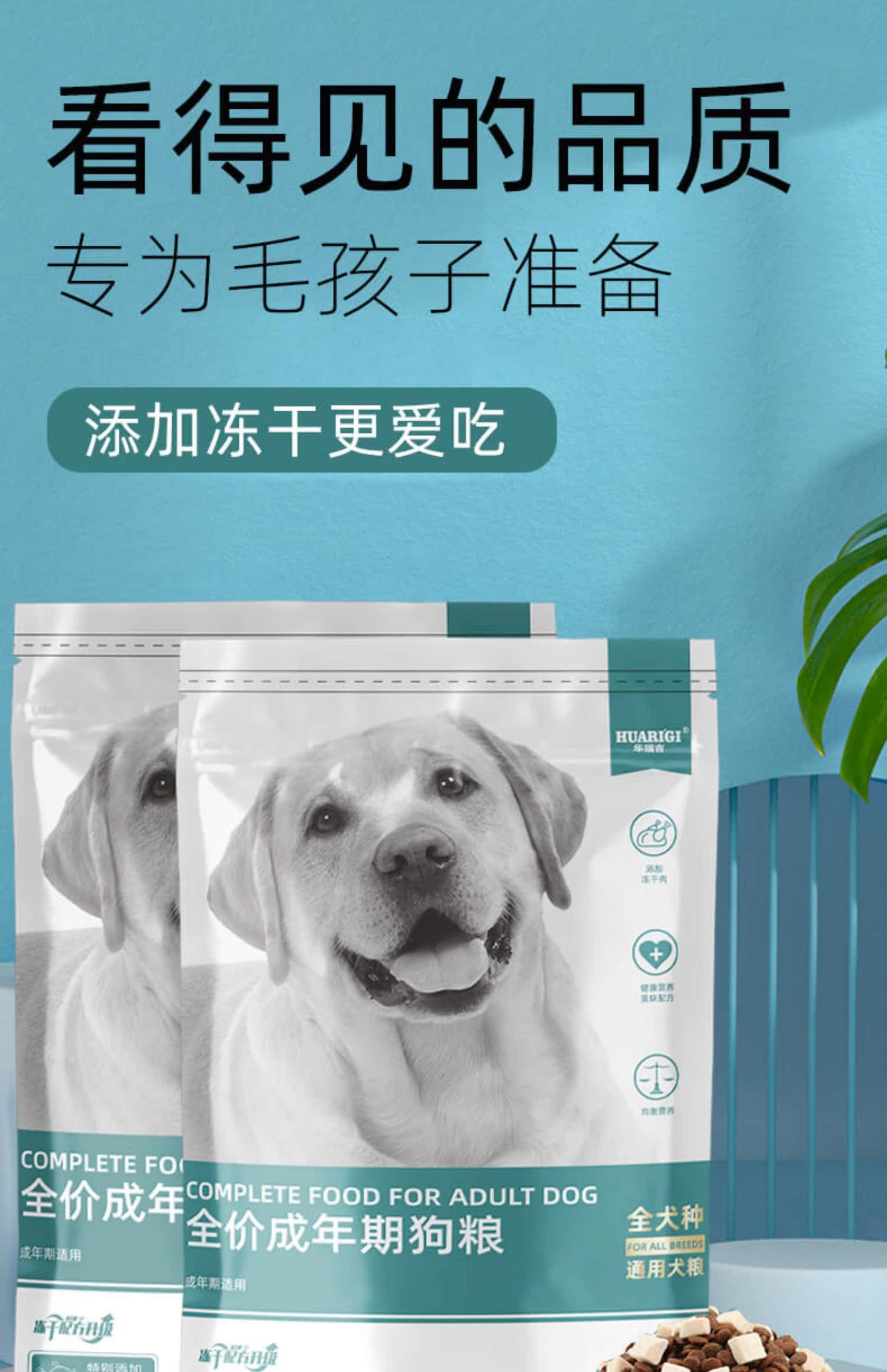 成犬小型犬泰迪贵宾金毛博美通用狗粮5斤