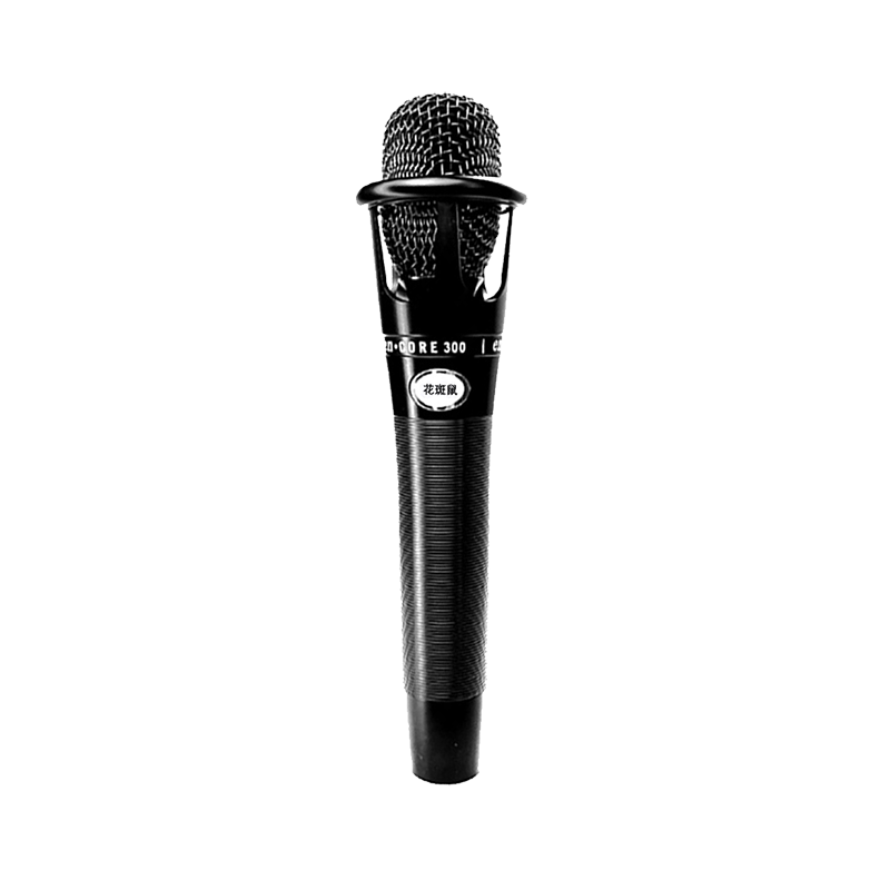 condenser microphone Latest Best Selling Praise Recommendation
