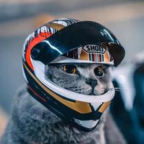Motorcycle helmet for pet cats Special motorcycle helmet for cats and dogs Handsome motorcycle hat Safety hat