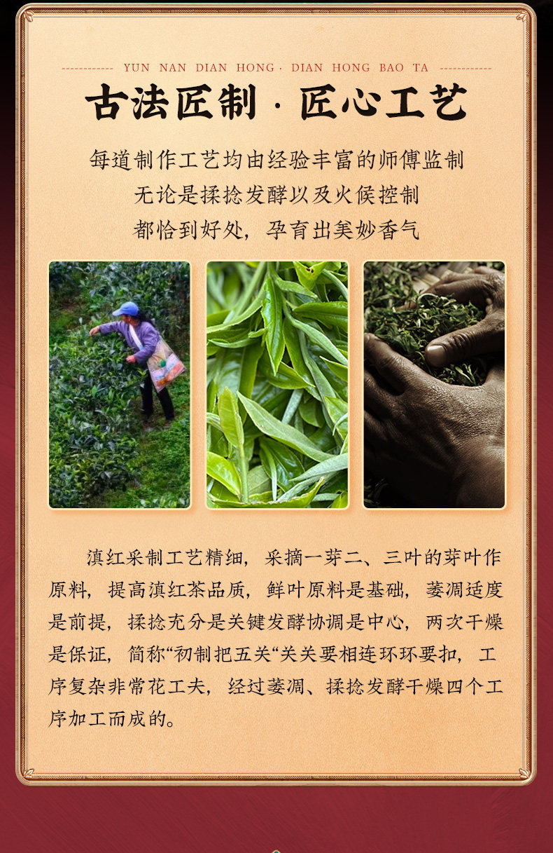 12-63f58dc97eb56.jpg 