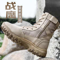 German outdoor high-top desert boots soft-soled training boots mens breathable mountaineering shoes autumn Martin boots hiking shoes sports boots