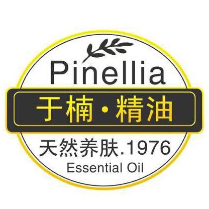 于楠企业店
