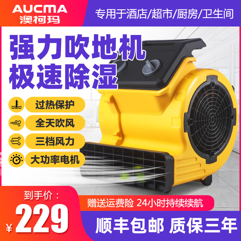 Aussie Koma Blow Ground Machine Ground Blow-dry Home Dealer Dry Hair Dryer With Powerful High Power Floor Carpet Toilet