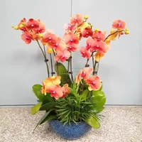 6. Принцесса