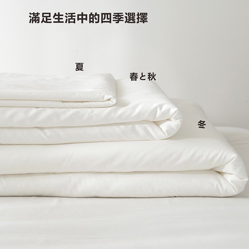 Exported to Japan five-star hotel fiber summer cool quilt core soft close-fitting warm double winter quilt spring and autumn quilt
