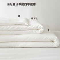 Export Japan 5 star hotel fiber summer cool quilt core soft closeted warm double winter quilt with spring and autumn quilt