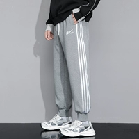 21 светло -серый [обычный]