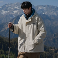 Абрикосовый, 33м