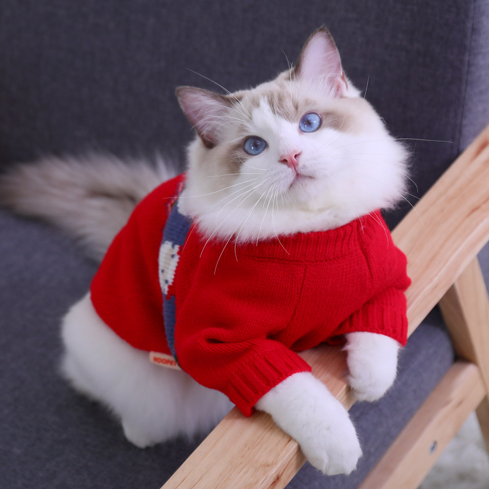 New Year's kitty clothes winter warm and cute puppies anti-fall woolen sweater for young cat pets young cat autumn and winter