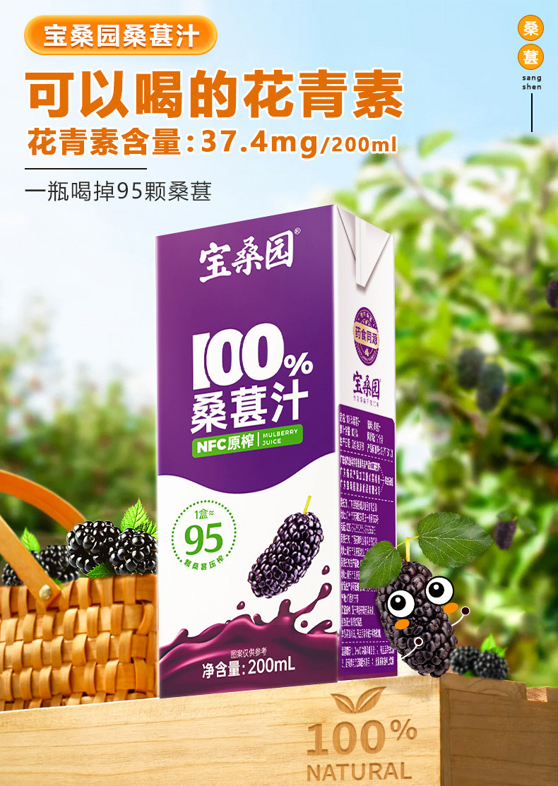安享好物 安享A级果汁-宝桑园100% NFC桑果汁 国标 