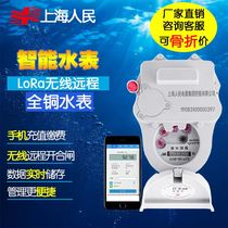 Shanghai Peoples LoRa Far EasTone Smart Water Meter Mobile Scan QR Code Recharge Remote Meter Reading Prepaid Water Meter Rental House