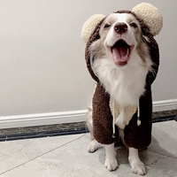 Милый костюм медведя