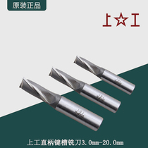 Upper Work Straight Shank Keyway Milling Cutter Standard Series Two Blades High Speed Steel Straight Shank Keyway Milling Cutter HSS 3 0mm-20mm