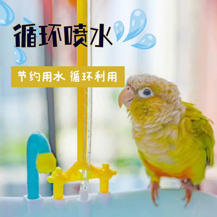 鹦鹉洗澡盆自动水循环神器，小鸟专属沐浴天堂，你家鹦鹉的幸福源泉！