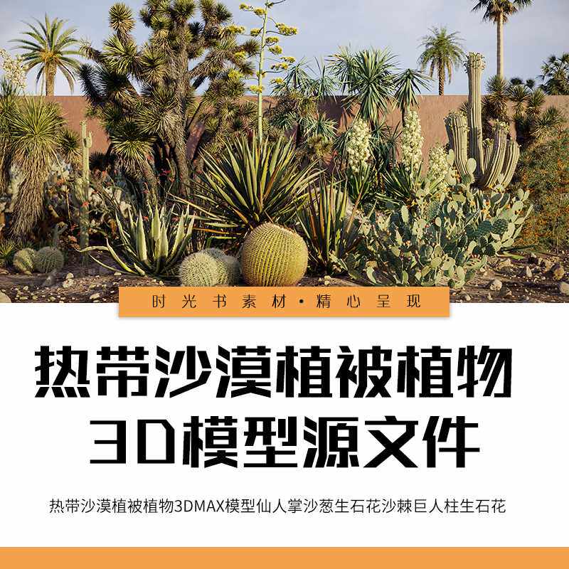 3D tropical desert vegetation plant 3Dmax model cactus giant column Haloxylon tree centenarian orchid camel thorn, etc.