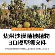 3D tropical desert vegetation plant 3Dmax model cactus giant saxophone tree centenarian orchid camel thorn etc.