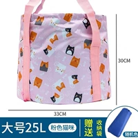 Розовая кошка 25 л.