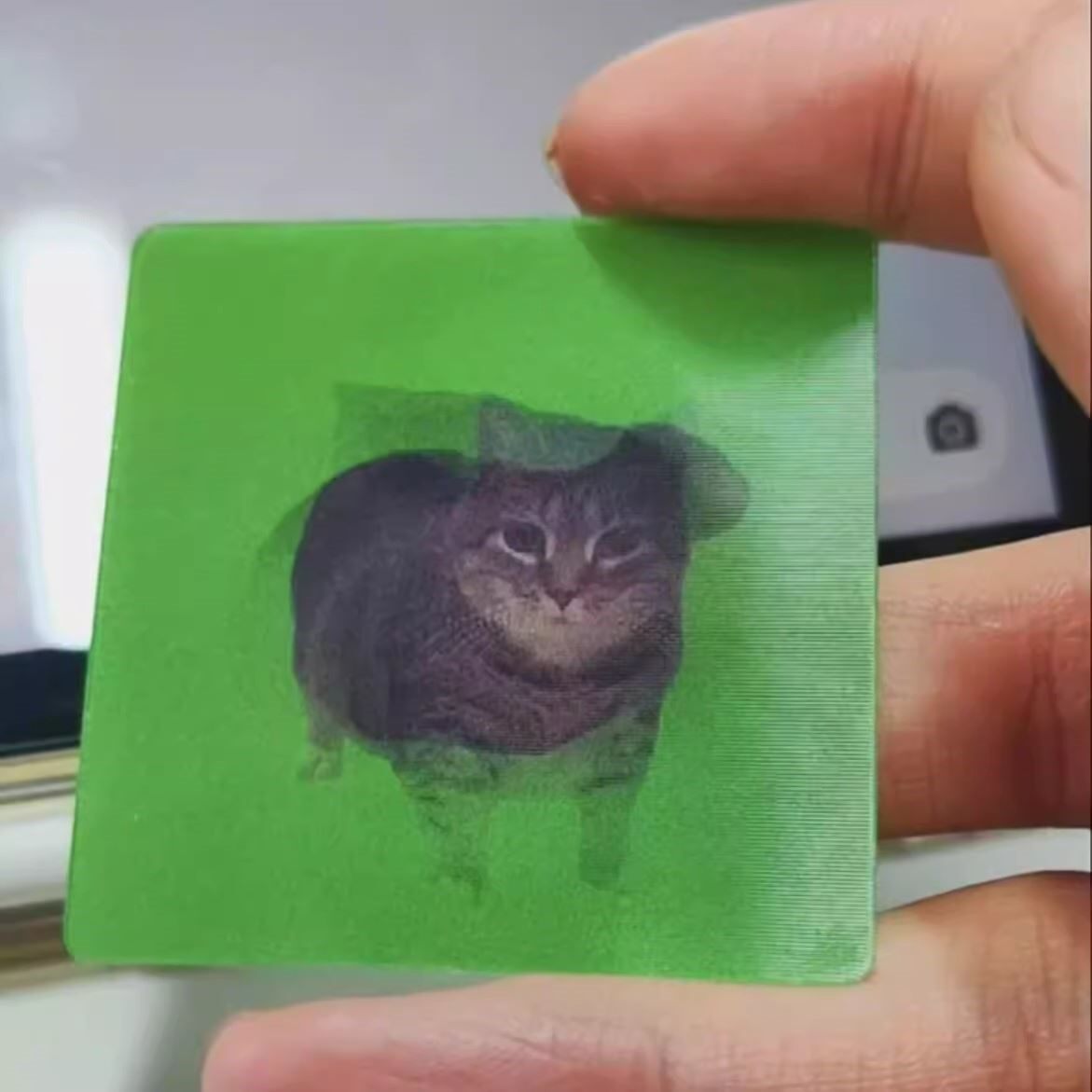oiiaioooooiai猫旋转3d动态光栅卡表情包解压小猫_动漫徽章_淘宝游戏网