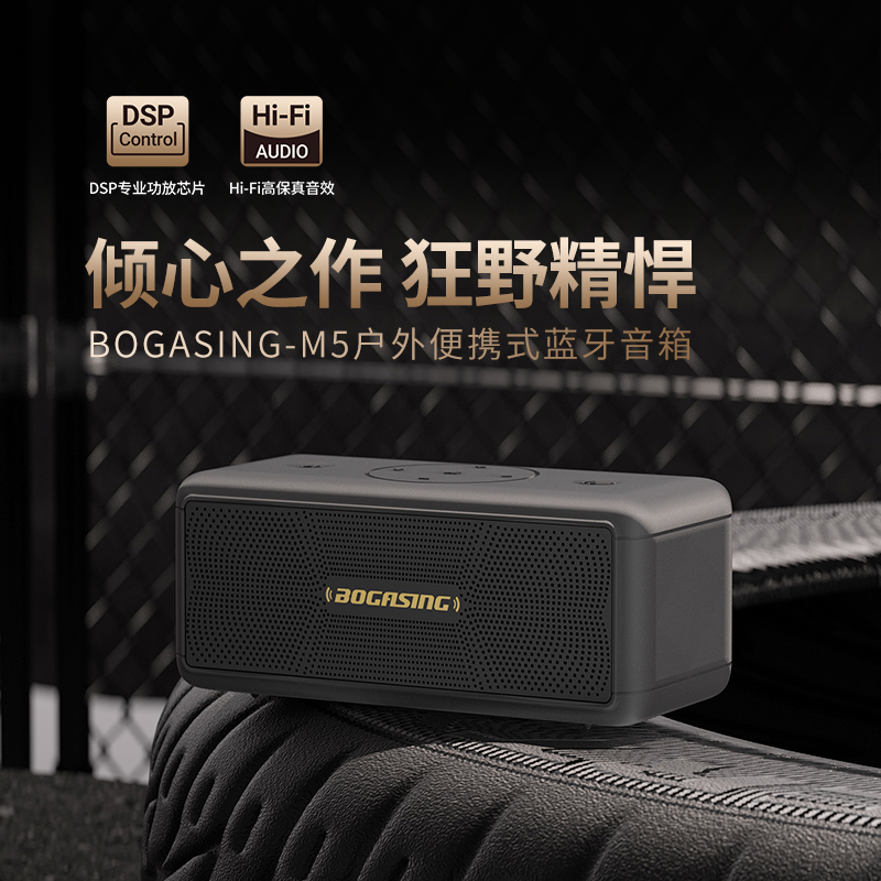 双12寸音响和单15寸音响有什么区别？哪个更适合家庭使用？