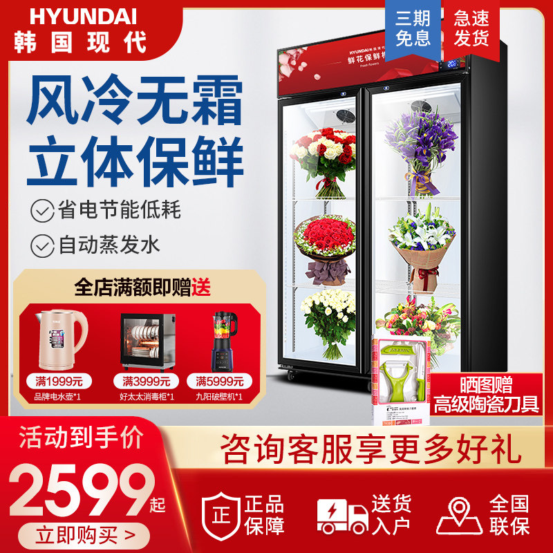 South Korea Modern Flowers Cabinet Refrigerated Preservation Cabinet Nemesis Flowers Bouquet Commercial Display Cabinet Vertical Air-cooled Freezers