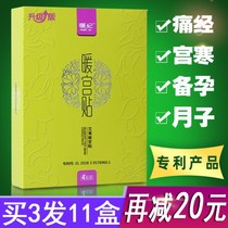 Warm Princess Motherwort Warm Palace Patch Ahay Palace Chill Conditioning Warm Palace Exorcor chill and warm up waist belly fever Pregnancy Moxibustion Paste