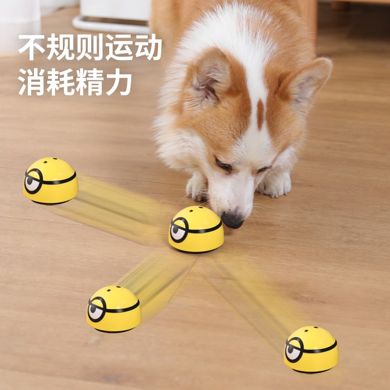 Pooch toy cat deconsults with dog Divine Instrumental Puppy Resistant to Bite Grinders Electric Vocal Small Dog Kökkie Pet Supplies