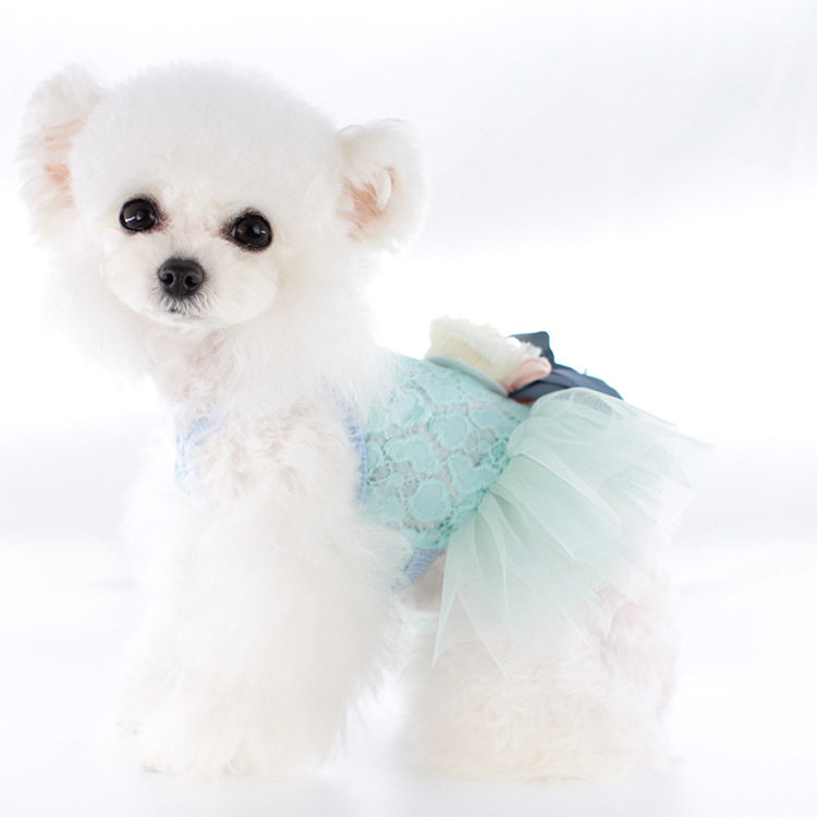 Pet Clothes Summer Style New Dogs Clothes Lace Fluffy Dress Pets Better Than Bear Clothing Cute Kitty Clothes