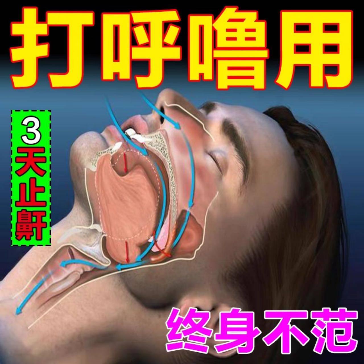 Sleeping snoring artist (unplugged) snoring sound frequently snoring stops snoring