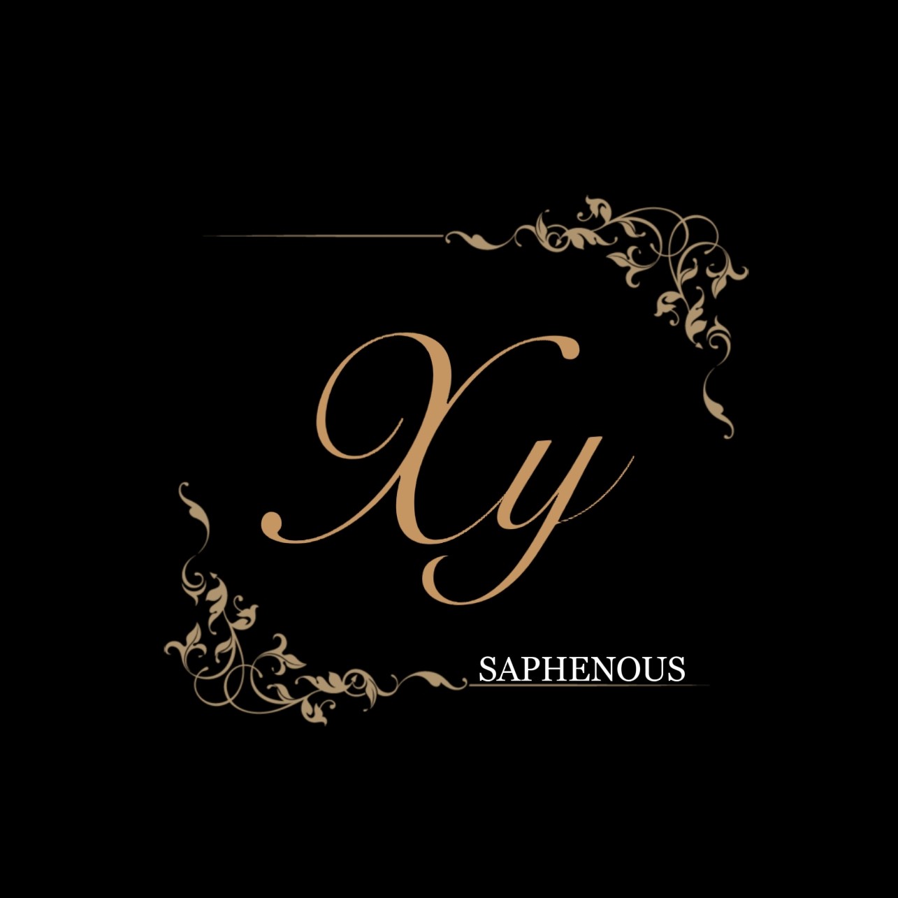 小隐SAPHENOUS