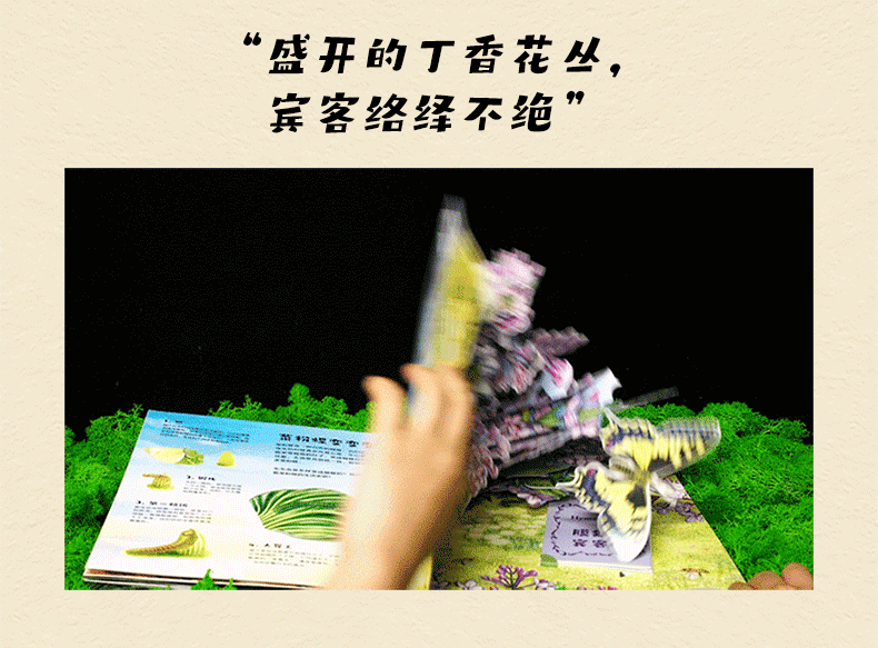 商品详情图