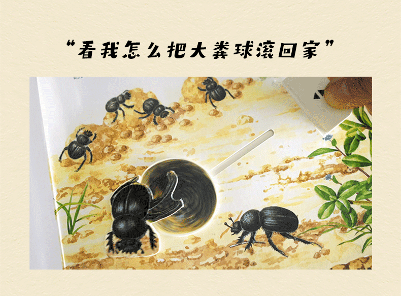 商品详情图