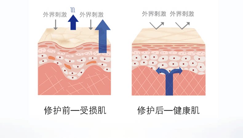 【中国直邮】 成分星球 安肤修护霜 积雪草屏障修护泛红维稳补水保湿滋润国货面霜 50g