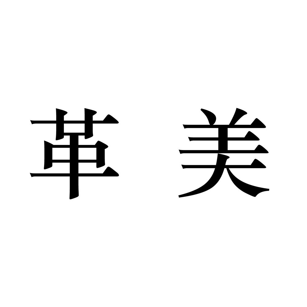 革美女装店