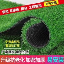 (Xinjiang) Emulation Lawn Rug Artificial Outdoor Plastic Decoration Green Planting Football Field Kindergarten Green Surround