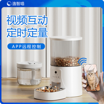 Automatic feeder cat video mobile phone smart pet cat food feeder timed and quantitative dog food