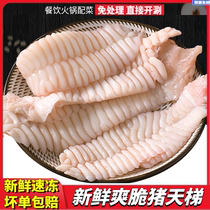 20 pounds of fresh pig ladder pig tooth plate frozen pig tooth stem pig paradise whole box of spicy hot pot maocai and barbecue ingredients