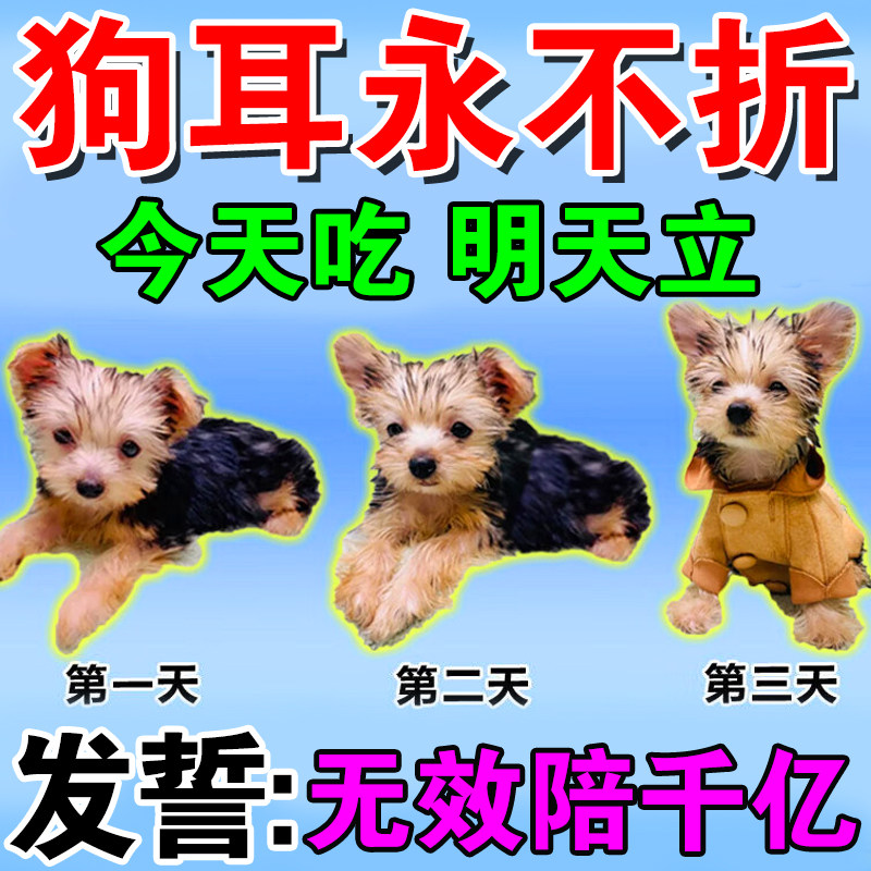 狗狗立耳神器钙片立耳贴小狗雪纳瑞杜宾犬边牧柯基德牧立耳辅助器
