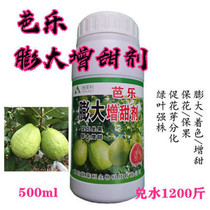 Ballet Guava Green Leafy Strong Plant Anti-Fall Fruit Cracking Fruit Puffed Fruit Puffed Sweet Fruit Homogeneous Amino Acid Foliar Fertilizer