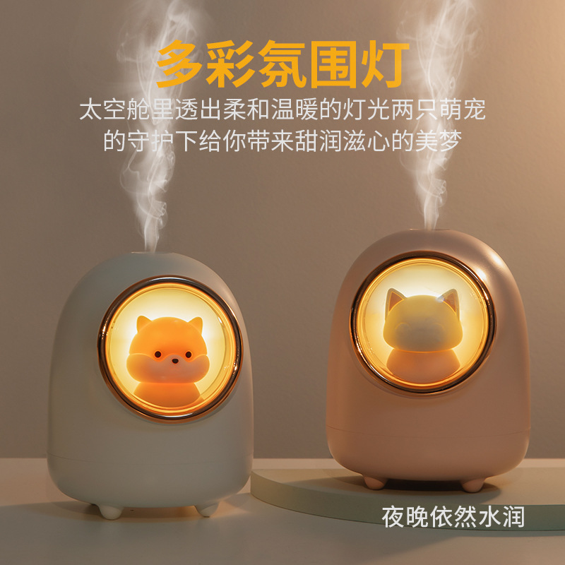 Birthday Gift Girl Gifts To Girlfriend Friend Send Bestie Senior Sensation Walking Hearts Special Practical And Meaningful Humidifiers