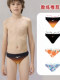 Mizuno children's boys, small, medium and large boys, teenagers and students, professional training triangle swimming trunks, quick-drying