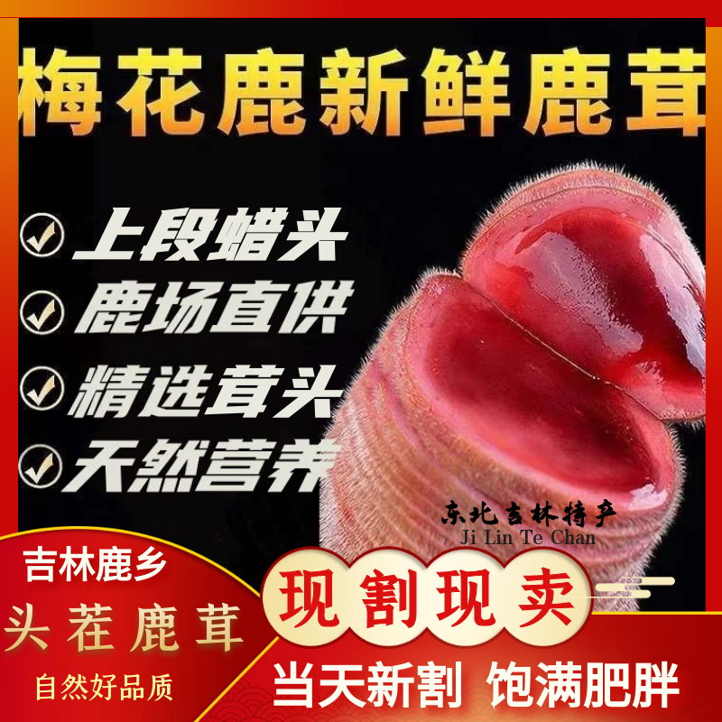 Jilin Deer Township Antler Whole Roots Fresh Antler Head Plum Blossom Deer With Blood Waxed Pieces Head Stubble with Knife Bubbles medicinal herbs-Taobao