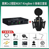 Black Lion 2 × 2+аккуратный Kingbee II New Bee King Set Set