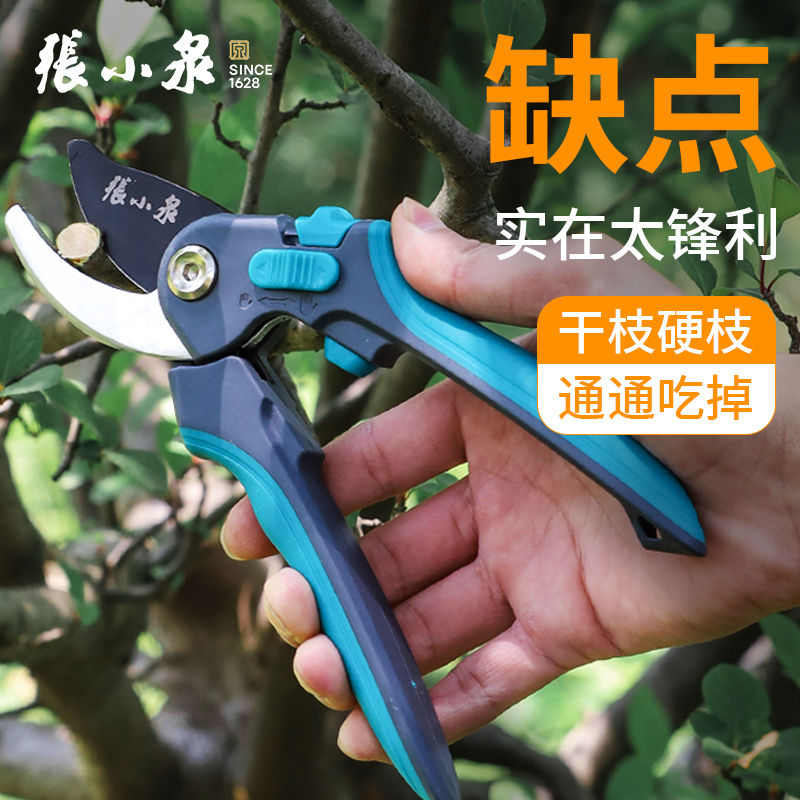 Zhang Koizumi horticultural scissors prunes prunes of prunes prunes prunes prunes prunes prunes prunes prunes The special scissors for pruning branches-Taobao
