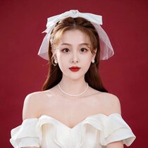 Certificate registration photo props 2022 small veil bride advanced French wedding simple net red light marriage