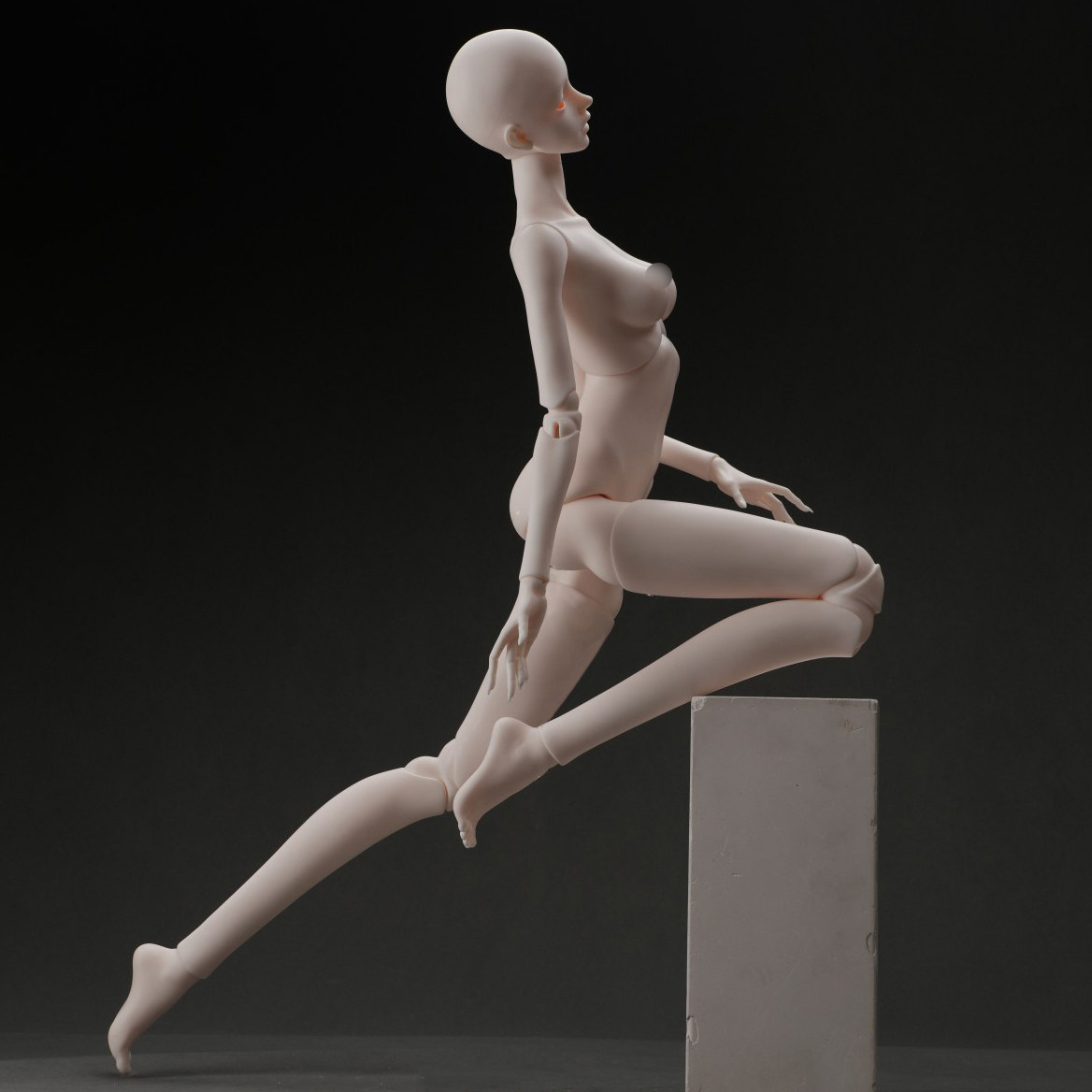 将来さん樣專用珊瑚 将来さん樣專用珊瑚 将来さん樣專用珊瑚 kioi/珊瑚 さんご